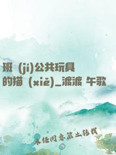 班級(jí)公共玩具的描寫(xiě)